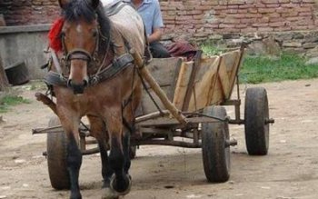 Un bărbat din Leorda a …