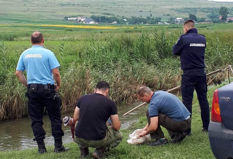 A curs cu amenzi pe malurile râurilor și bălților! Ce-au descoperit jandarmii?