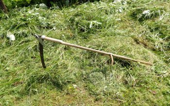 Femeie ajunsă de urgență la …