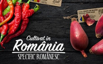 Gustul legumelor de altă dată …