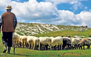 Un cioban din Galați este …