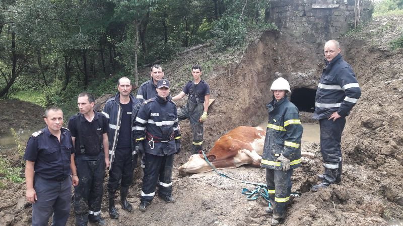 Misiune dificilă a pompierilor din Botoșani încheiată cu succes - FOTO