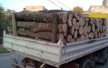 Transport de lemn cu iz …