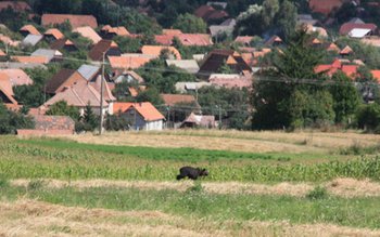 ALERTĂ! O stațiune din România …