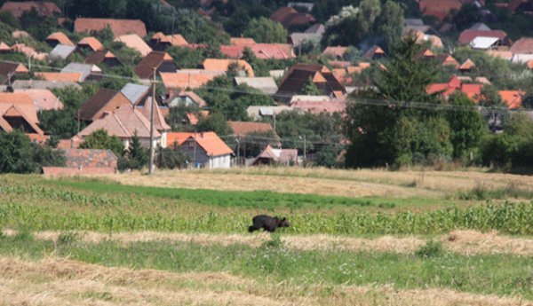 ALERTĂ! O stațiune din România a fost încercuită. Jandarmii patrulează în permanență