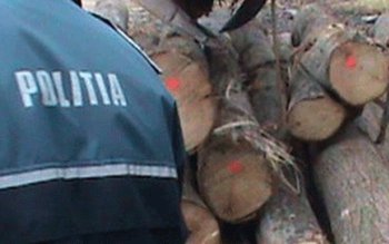 Material lemnos confiscat de polițiști …