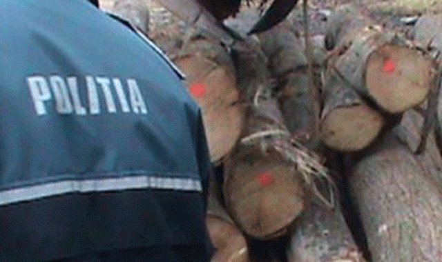 Material lemnos confiscat de polițiști la Șendriceni
