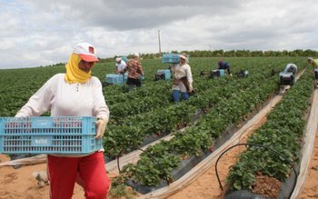 150 de locuri de muncă …