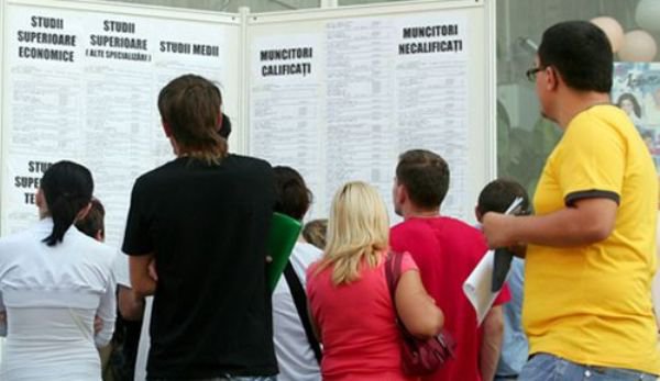 AJOFM Botoșani: Peste nouă sute de locuri de muncă disponibile în județ!