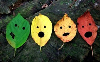 ANM a emis o nouă …