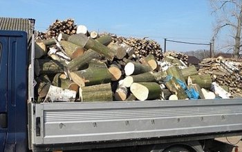 Material lemnos confiscat de poliţişti …