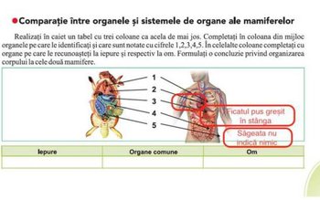Încă un manual cu probleme: …