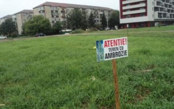 Executivul a decis! Noi reguli …