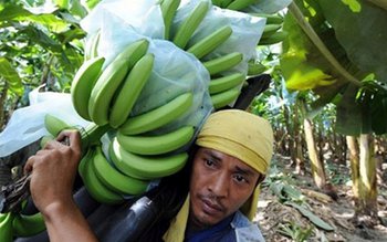 Anunț neașteptat! Ne-am putea lua …