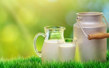 Consumul mare de lapte, asociat …