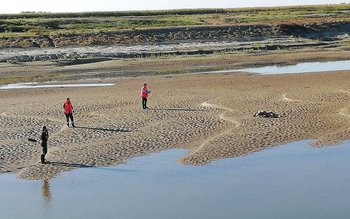 Descoperire șocantă: Cadavrul unei femei …