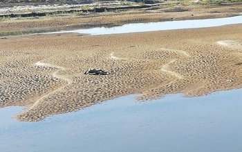 S-a aflat identitatea femeii care …