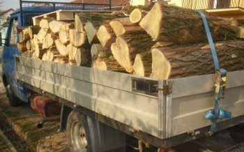 Transport ilegal de lemne confiscat …