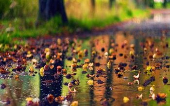 Vremea se schimbă radical în …