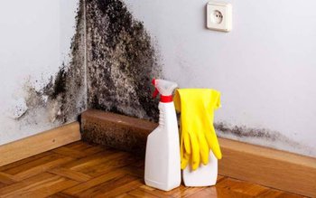 Uleiul care te scapă de …