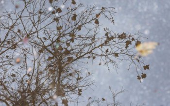 Ciclonul polar Olaf ajunge duminică …