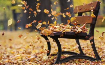 Dimineți cu temperaturi de înghet …