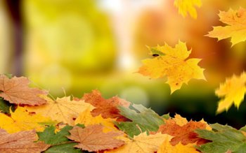 Prognoza meteo pentru următoarele săptămâni: …