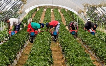 Locuri de muncă sezonieră în …