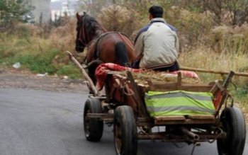 „Schumacher” din Truşeşti a căzut …