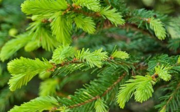 Beneficii mai putin știute ale …