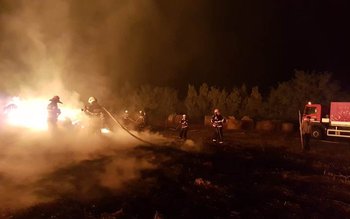 300 de tone de furaje …