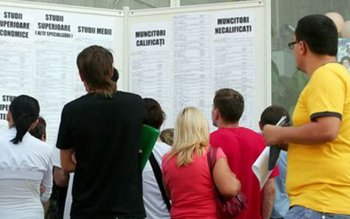 Ofertă AJOFM Botoșani: 1286 locuri …