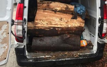 Sucevean amendat după ce a …