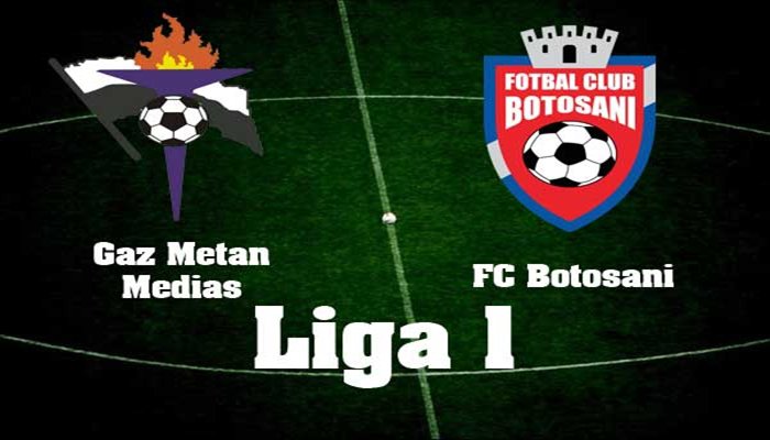 FC Botoșani joacă astăzi, în deplasare, împotriva celor de la Gaz Metan Mediaș