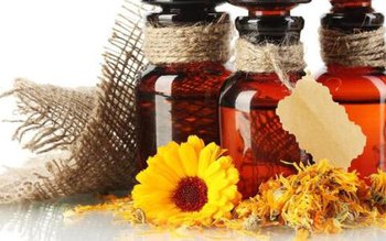 Plante cu puternic efect de …