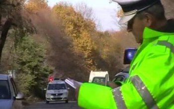 Dosar penal pentru lemn fără …