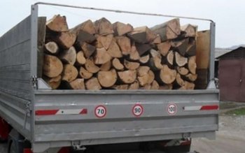 Tânăr prins că transporta lemne …