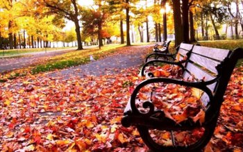 Vremea rea loveşte România. Cât …