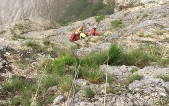 Un român a murit strivit …