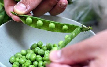 Locuri de muncă în AGRICULTURĂ …