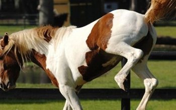 Bărbat în stare gravă la …