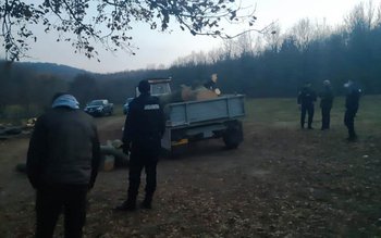 Şase metri cubi de lemn …