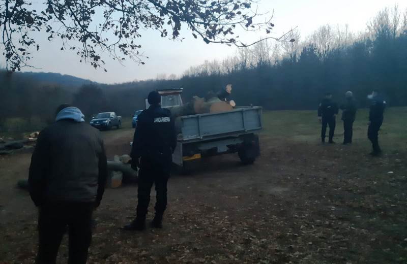 Şase metri cubi de lemn confiscat de jandarmi pe raza comunei Ibăneşti