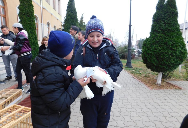 Educaţie globală cu ajutorul porumbeilor la Laurian - FOTO