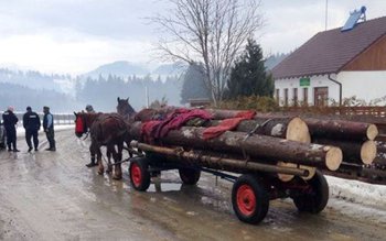 Doi bărbați din Hilişeu Horia …