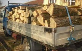 Persoane cercetate pentru transport ilegal …