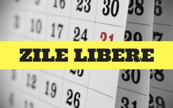 Guvernul acordă încă 2 zile …