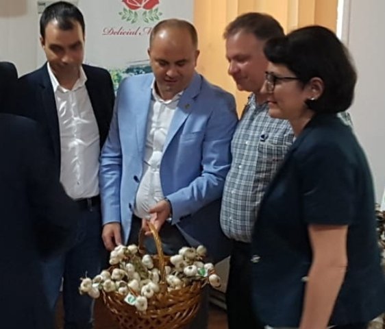 „Ministerul Agriculturii va implementa un Program cerut de senatorul Lucian Trufin pentru sprijinirea cultivatorilor de usturoi”