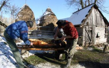 Ignatul, 20 decembrie 2018. Tradiții …