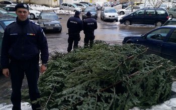 Petarde, pocnitori, țigări și brazi …